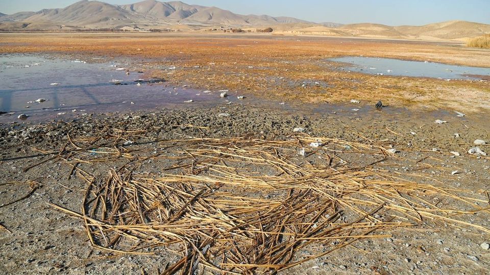 مرگ تالاب «قوری‌گل»