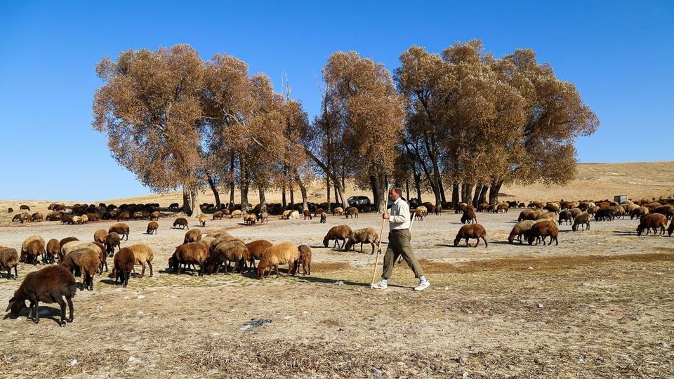 مرگ تالاب «قوری‌گل»