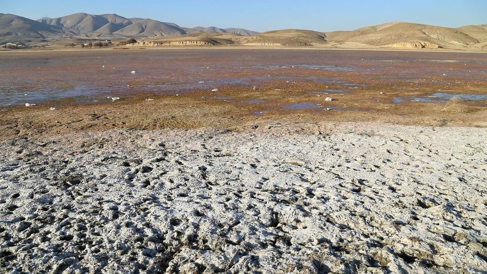 مرگ تالاب «قوری‌گل»