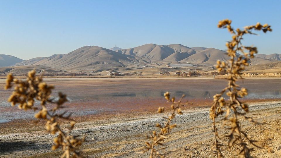 مرگ تالاب «قوری‌گل»