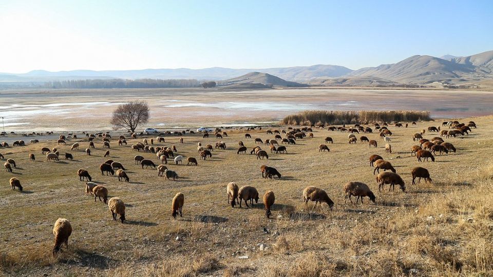 مرگ تالاب «قوری‌گل»