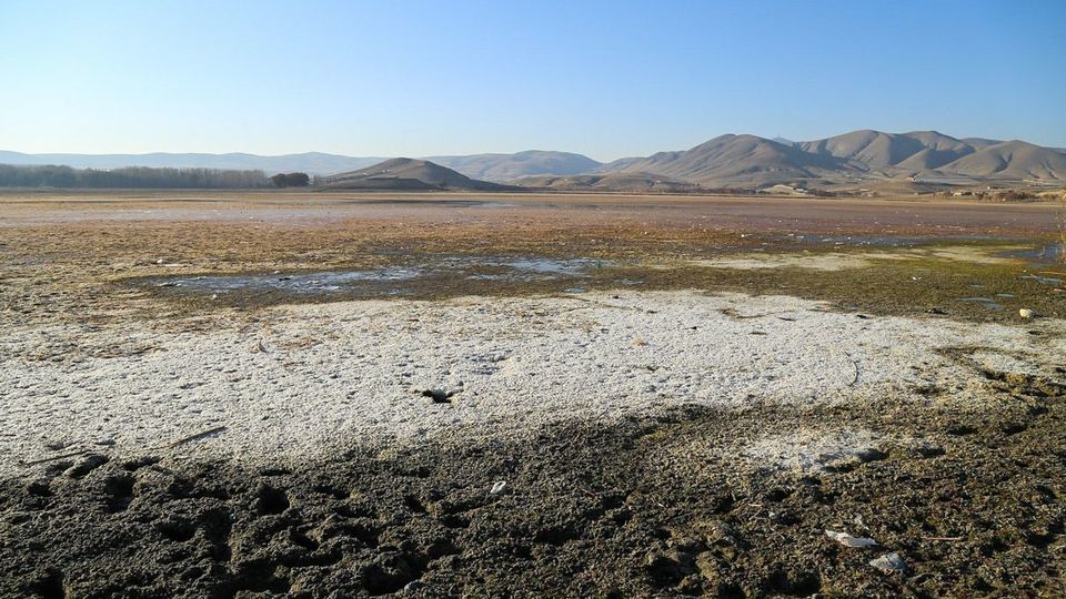 مرگ تالاب «قوری‌گل»