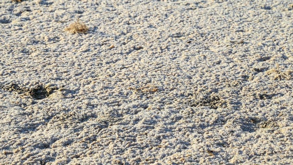 مرگ تالاب «قوری‌گل»