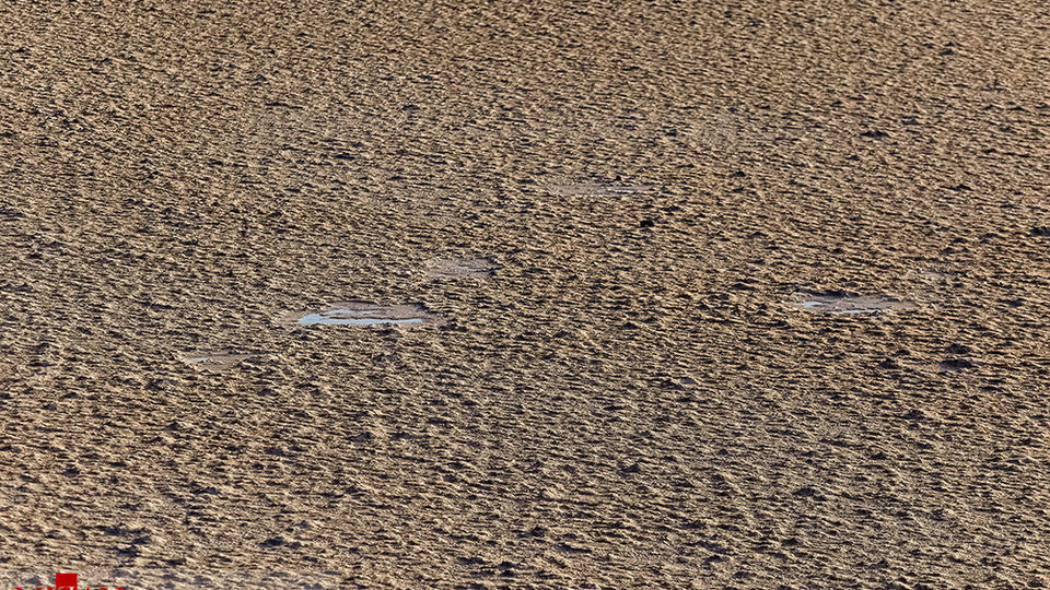 خشک شدن دریاچه جوان در کلوت شهداد - کرمان