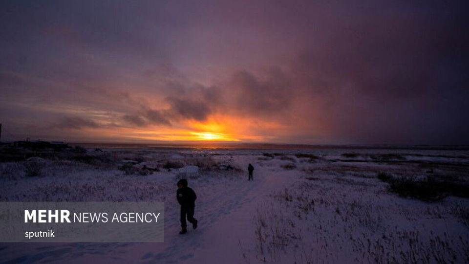 تصاویری جالب و خنده‌دار از شادی خرس‌های قطبی در چرچیل کانادا