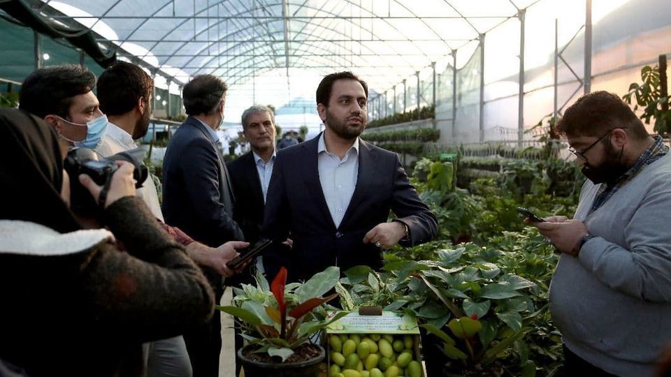 ترکمانه: اجرای طرح «یک روستا یک محصول» برکت در سراسر کشور