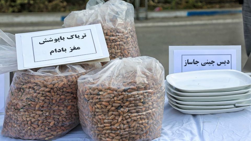 مرحله چهاردهم «طرح ظفر»