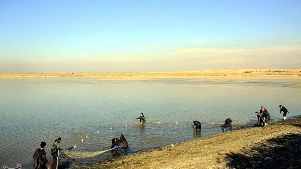 صید ماهی گرم‌‏آبی در تالاب عشق آباد ری