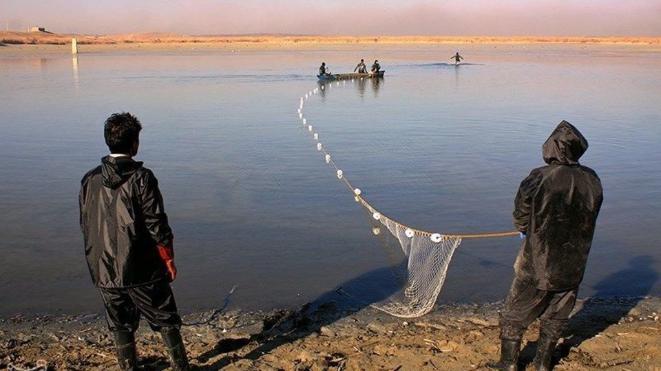صید ماهی گرم‌‏آبی در تالاب عشق آباد ری