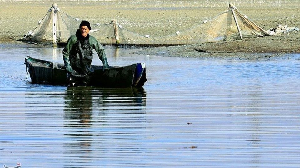 صید ماهی گرم‌‏آبی در تالاب عشق آباد ری