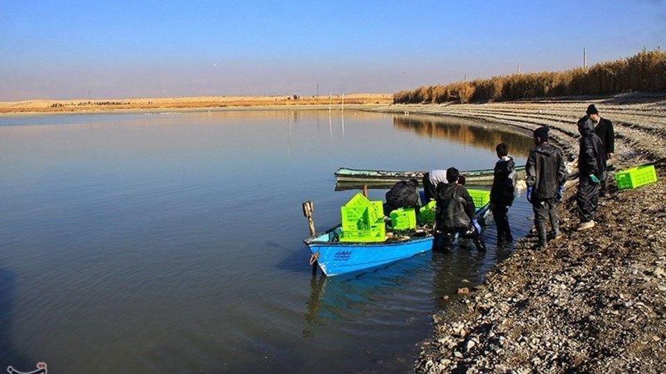 صید ماهی گرم‌‏آبی در تالاب عشق آباد ری