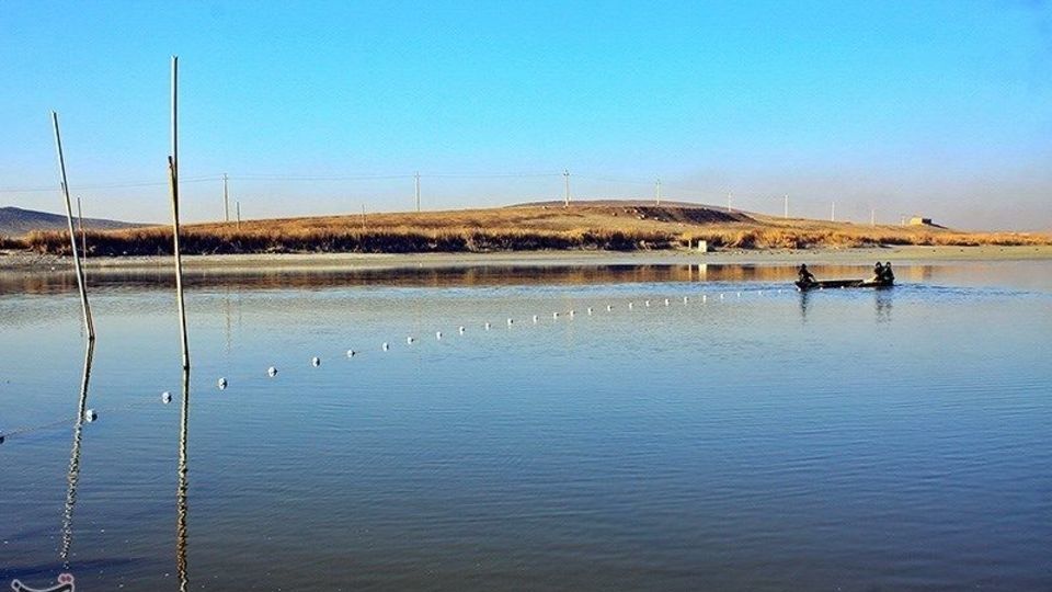 صید ماهی گرم‌‏آبی در تالاب عشق آباد ری