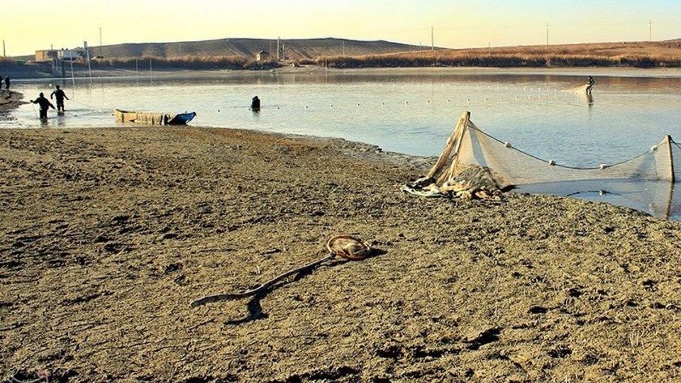 صید ماهی گرم‌‏آبی در تالاب عشق آباد ری