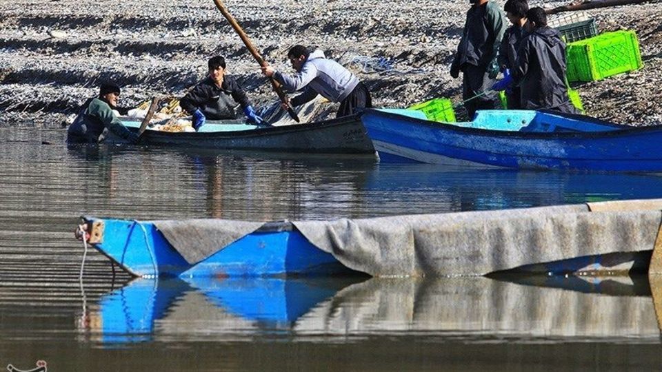 صید ماهی گرم‌‏آبی در تالاب عشق آباد ری