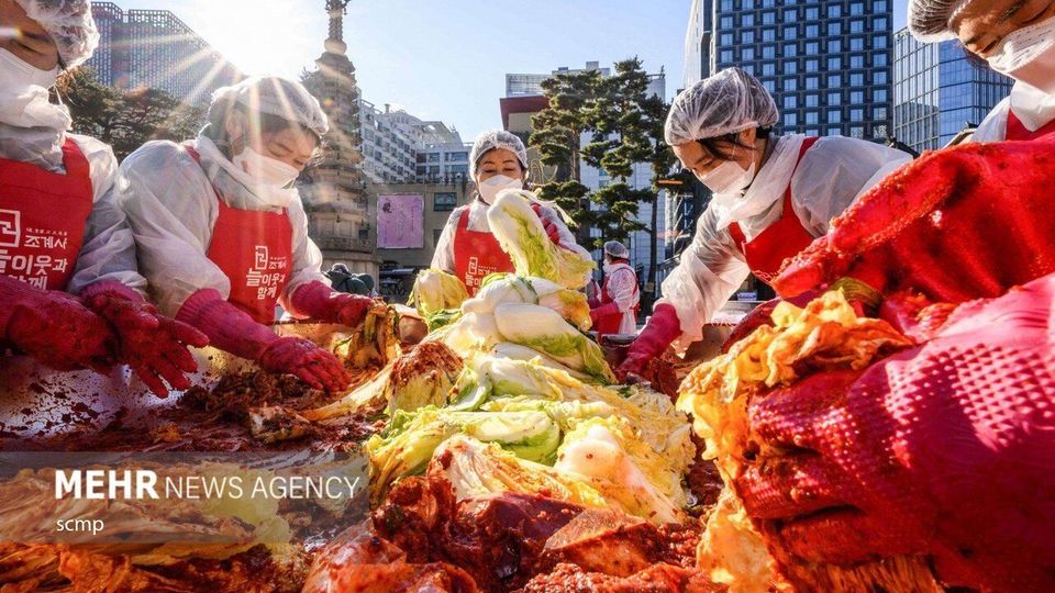 جشنواره بزرگ تهیه خوراک کیمچی در کره جنوبی