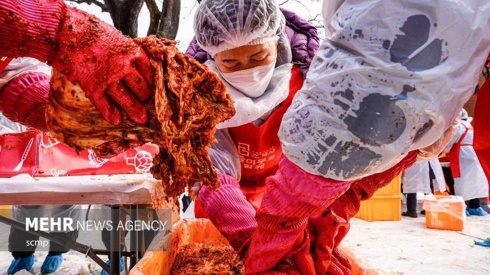 جشنواره بزرگ تهیه خوراک کیمچی در کره جنوبی
