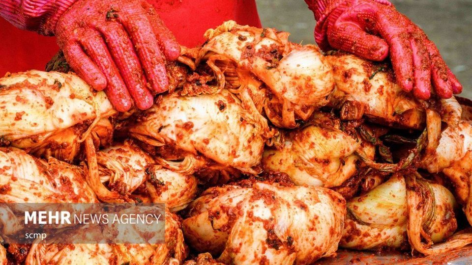 جشنواره بزرگ تهیه خوراک کیمچی در کره جنوبی