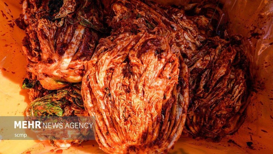 جشنواره بزرگ تهیه خوراک کیمچی در کره جنوبی