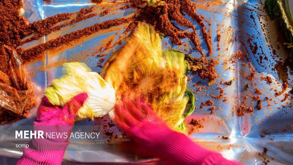 جشنواره بزرگ تهیه خوراک کیمچی در کره جنوبی