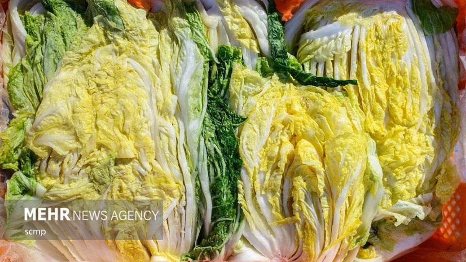 جشنواره بزرگ تهیه خوراک کیمچی در کره جنوبی