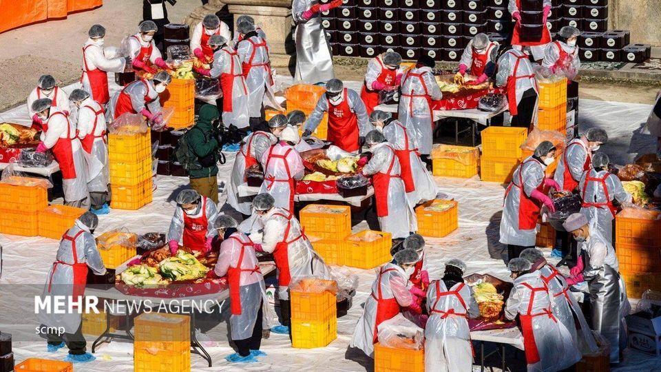 جشنواره بزرگ تهیه خوراک کیمچی در کره جنوبی