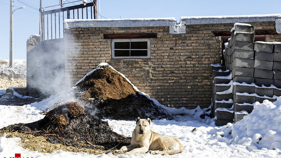 بارش برف در روستای یولقون آغاج - تکاب