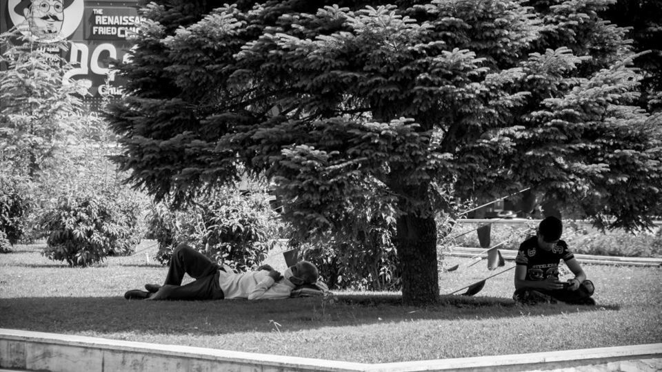 خواب در هیاهو