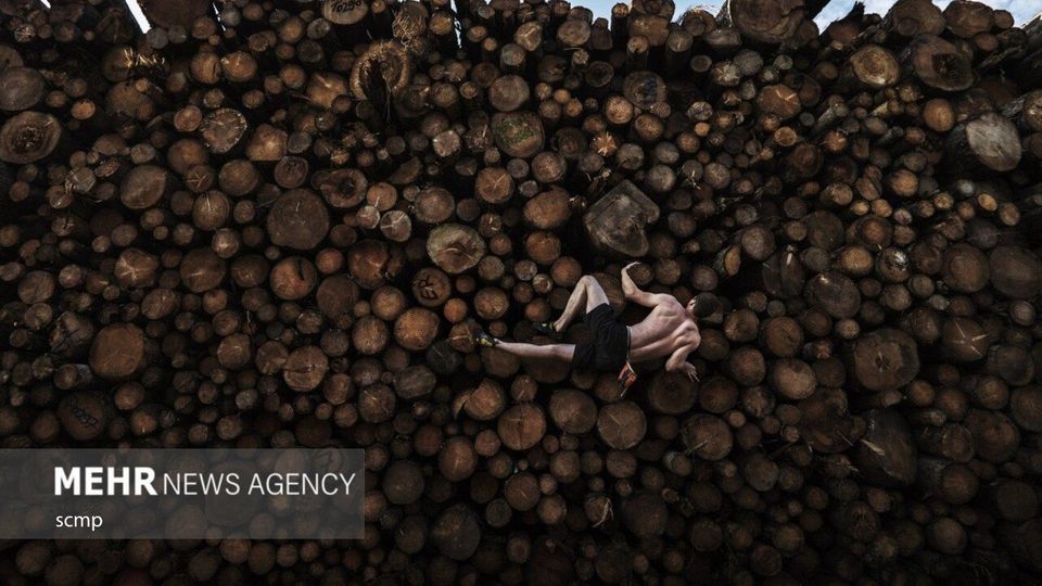 برندگان مسابقه عکس سینا