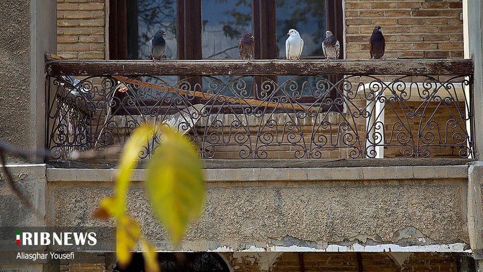 خانه تاریخی حاج آقا محسن اراکی