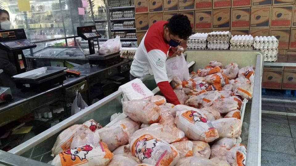 عرضه گوشت و مرغ دولتی در ۲۰۰ میدان و بازار میوه و تره بار تهران