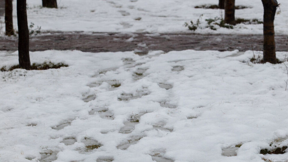 نخستین برف پاییزی تهران