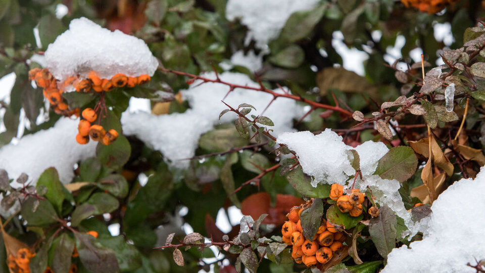 نخستین برف پاییزی تهران