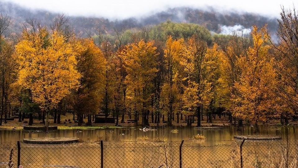 آخرین روزهای پاییز در گیلان