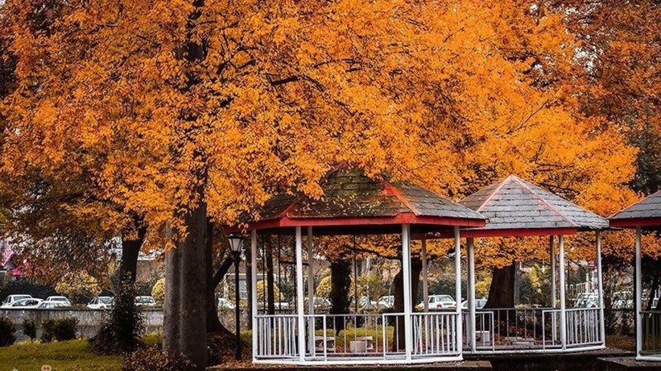 آخرین روزهای پاییز در گیلان