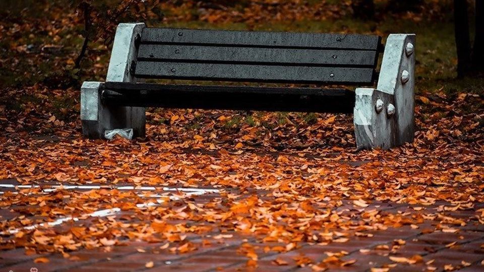 آخرین روزهای پاییز در گیلان