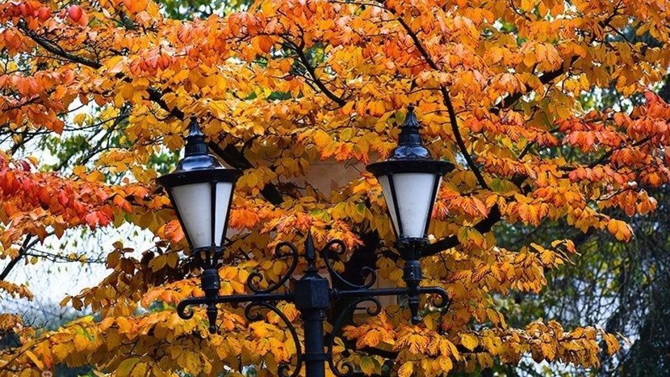 آخرین روزهای پاییز در گیلان