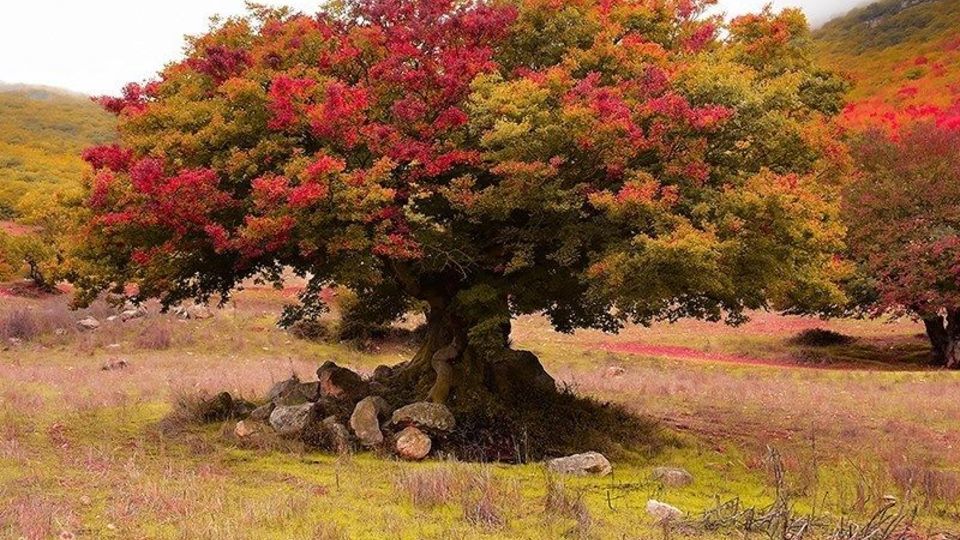 آخرین روزهای پاییز در گیلان