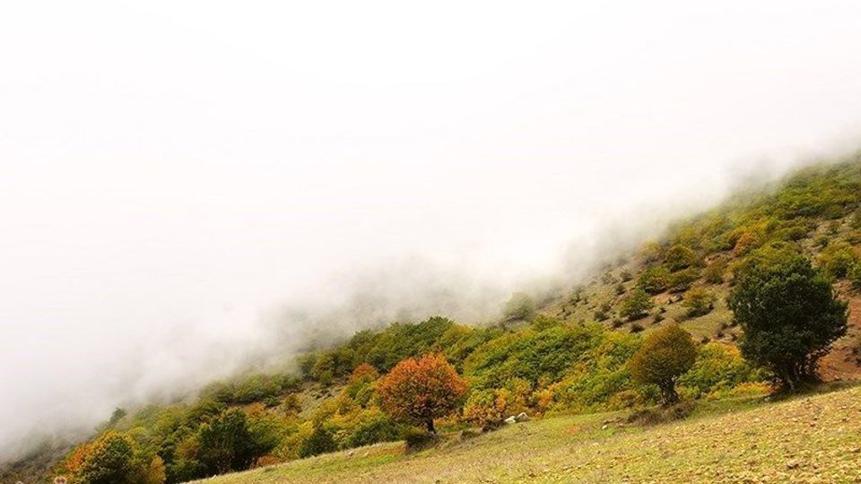 آخرین روزهای پاییز در گیلان