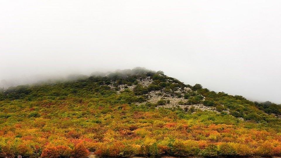 آخرین روزهای پاییز در گیلان