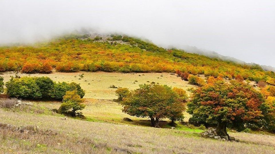 آخرین روزهای پاییز در گیلان