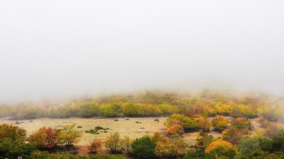 آخرین روزهای پاییز در گیلان