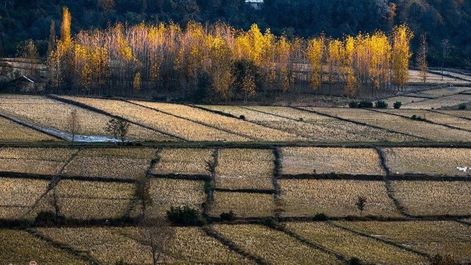 آخرین روزهای پاییز در گیلان