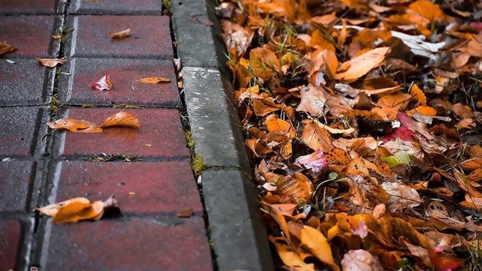 آخرین روزهای پاییز در گیلان