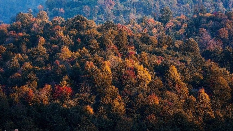 آخرین روزهای پاییز در گیلان