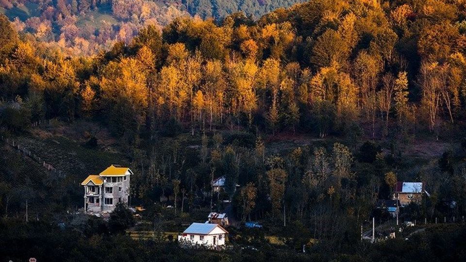 آخرین روزهای پاییز در گیلان