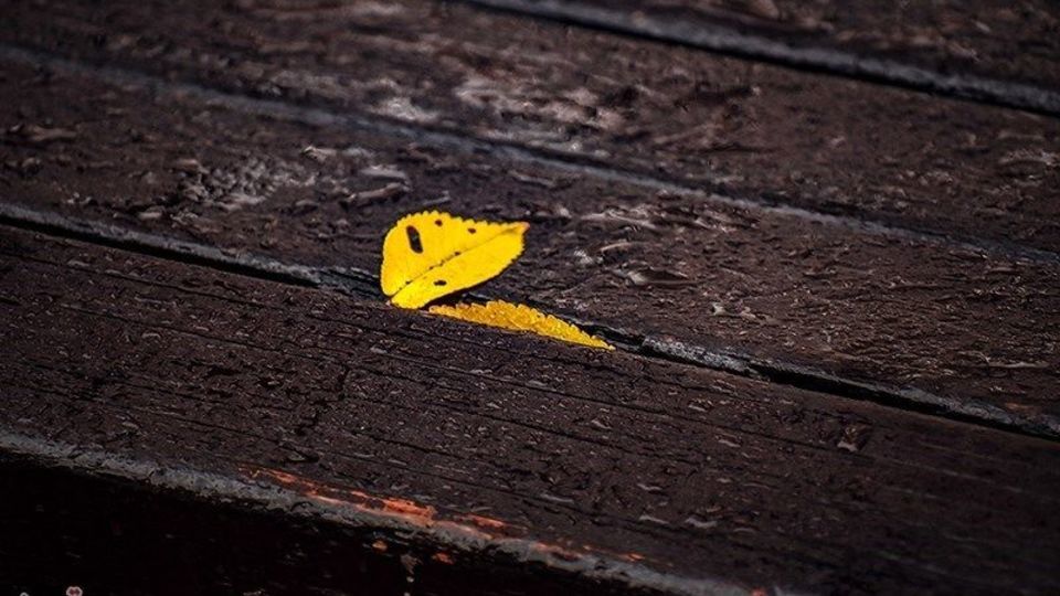 آخرین روزهای پاییز در گیلان