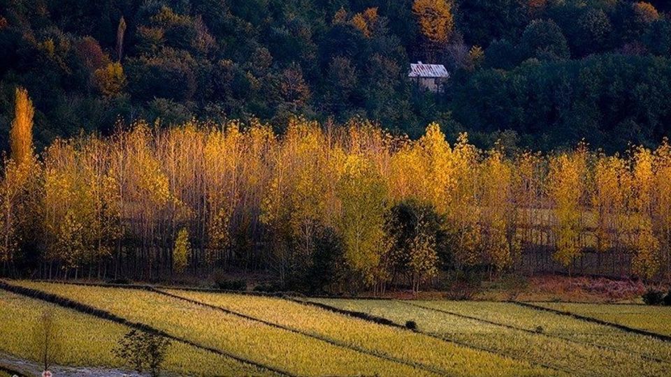 آخرین روزهای پاییز در گیلان