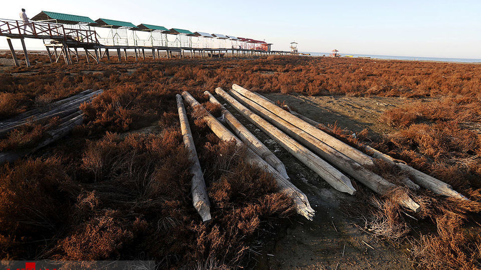 خلیج گرگان رو به مرداب شدن