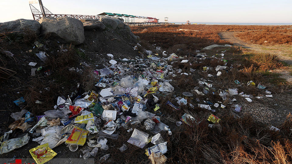 خلیج گرگان رو به مرداب شدن