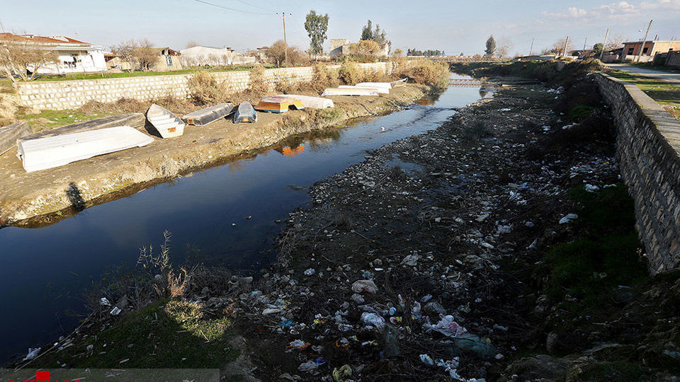 خلیج گرگان رو به مرداب شدن